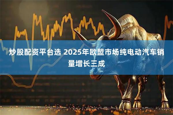 炒股配资平台选 2025年欧盟市场纯电动汽车销量增长三成
