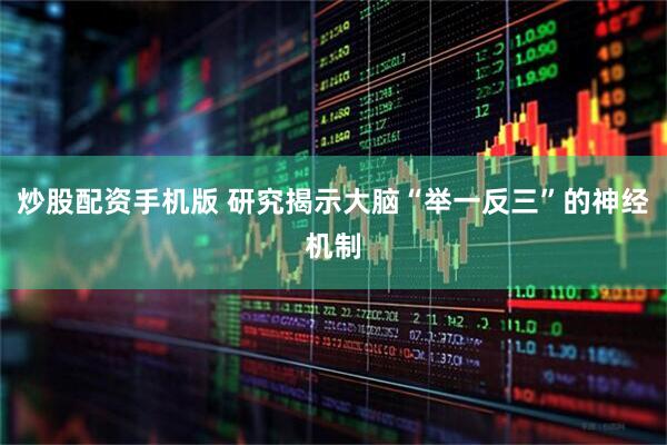 炒股配资手机版 研究揭示大脑“举一反三”的神经机制